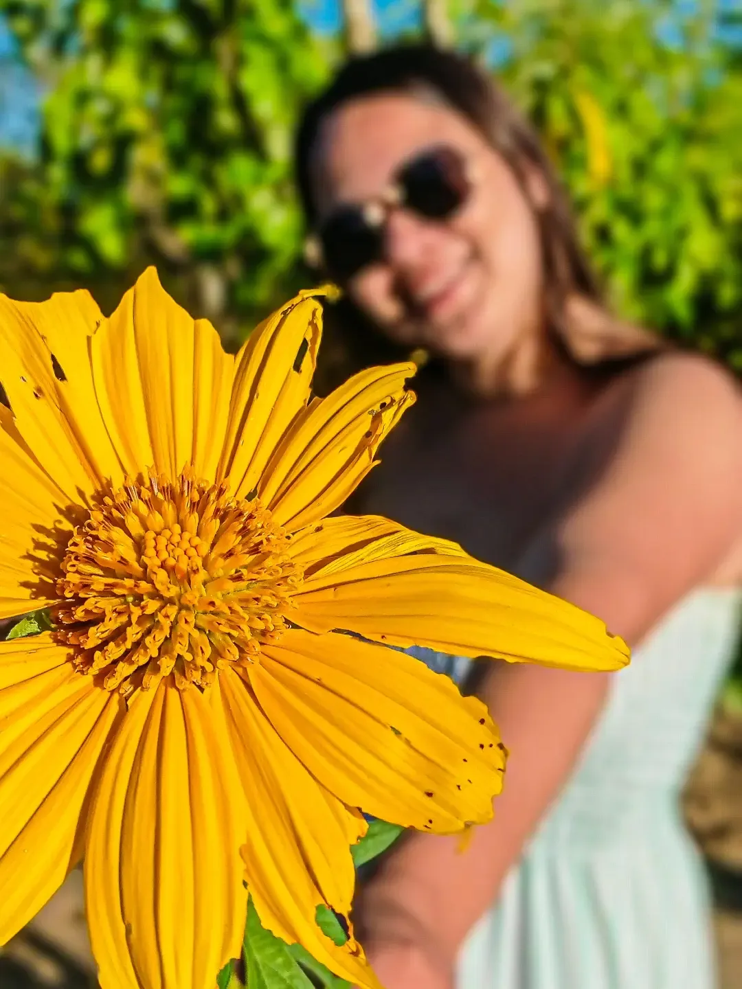 Flor amarela em primeiro plano e mulher com óculos escuros ao fundo.